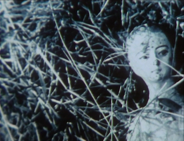 Maria Klonaris & Katerina Thomadaki – L’Ange Amazonien : Un portrait de Lena Vandrey (1992)