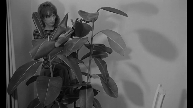 Jeanne Barbillon - L'Avatar botanique de mademoiselle Flora (1965)-poster