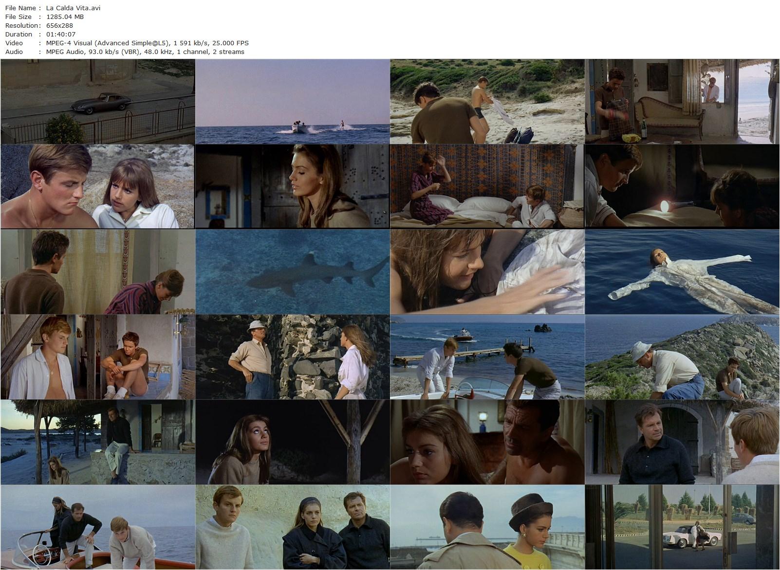 The Warm Life AKA La calda vita (1964) Florestano Vancini, Catherine Spaak, Fabrizio Capucci, Jacques Perrin-poster