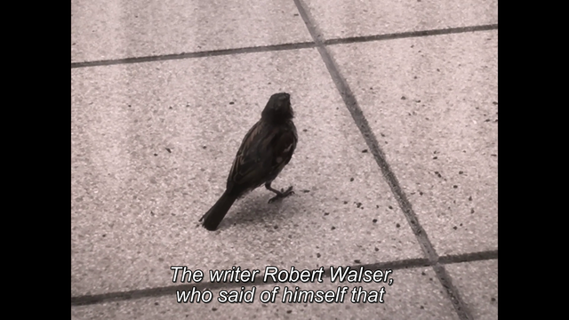 La Deuxième Nuit 82016) | Worldscinema | Download Free-poster