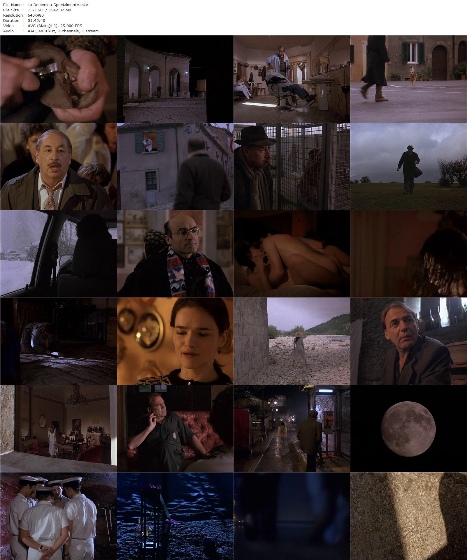 Especially on Sunday AKA La domenica specialmente (1991) Francesco Barilli, Giuseppe Bertolucci, Marco Tullio Giordana, Philippe Noiret, Ornella Muti, Bruno Ganz-poster