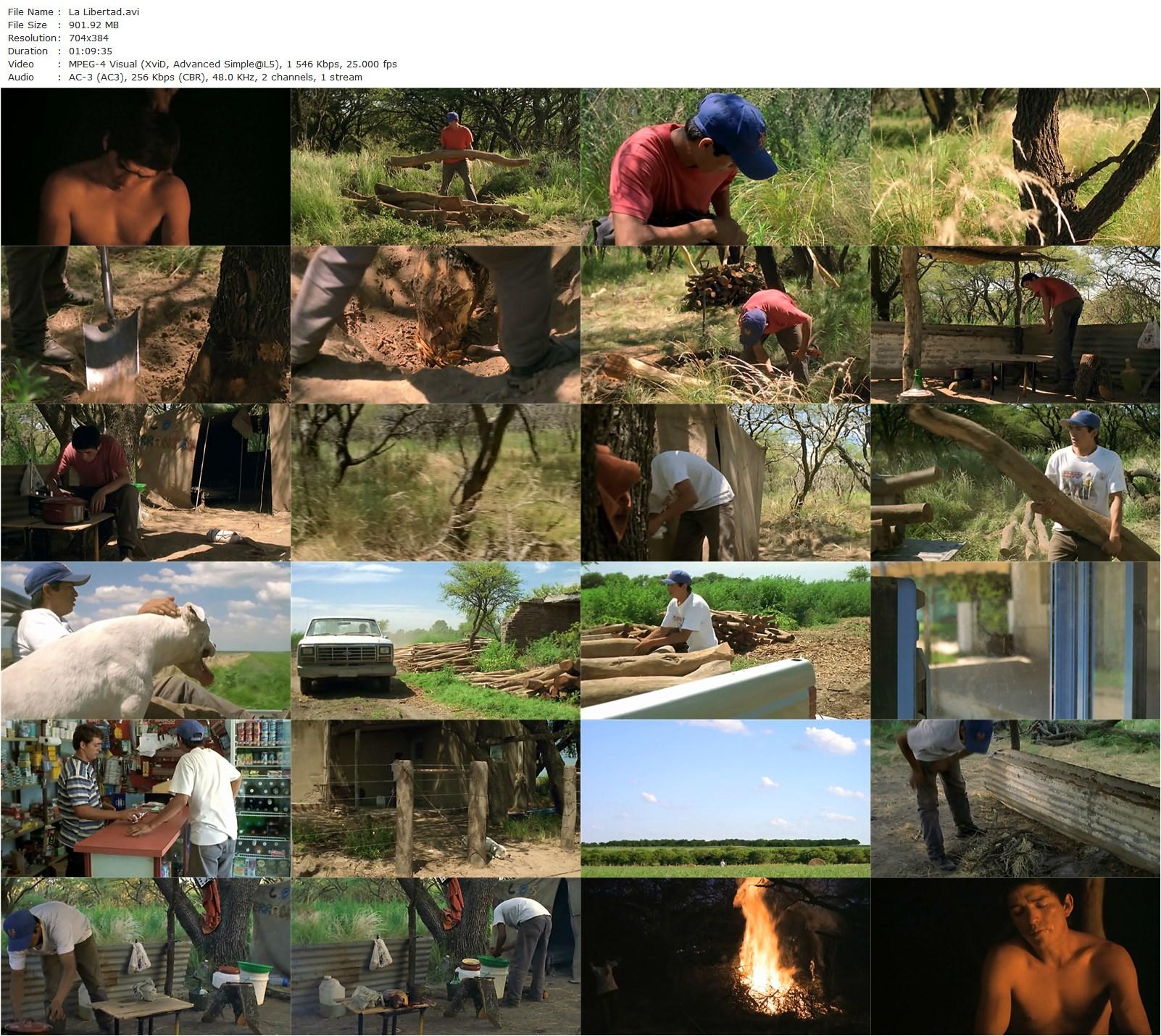 Freedom AKA La libertad (2001) Lisandro Alonso, Misael Saavedra, Humberto Estrada, Rafael Estrada-poster