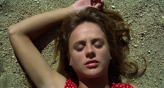 La ardilla roja (1993)-poster