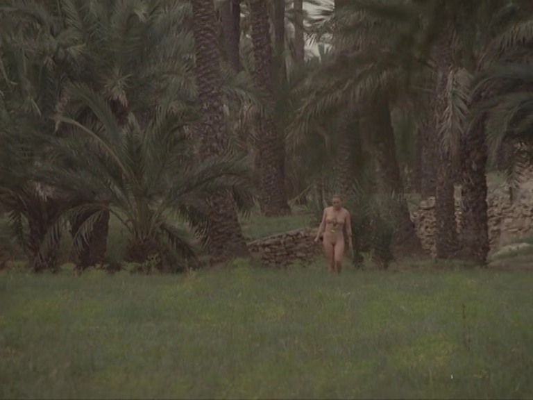 La comtesse perverse / Countess Perverse (1974) Jesús Franco, Alice Arno, Robert Woods, Howard Vernon-poster