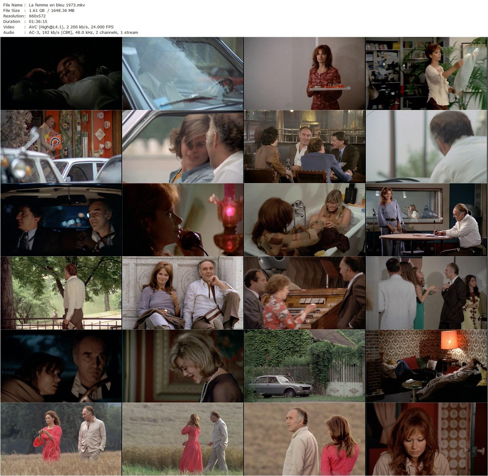 The Woman in Blue AKA La femme en bleu (1973) Michel Deville, Michel Piccoli, Lea Massari, Michel Aumont-poster