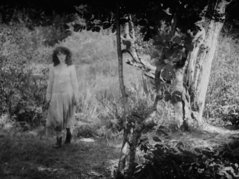 La fille de l'eau (1925) | worldscinema.org-poster