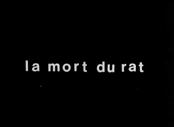 La mort du rat (1973)