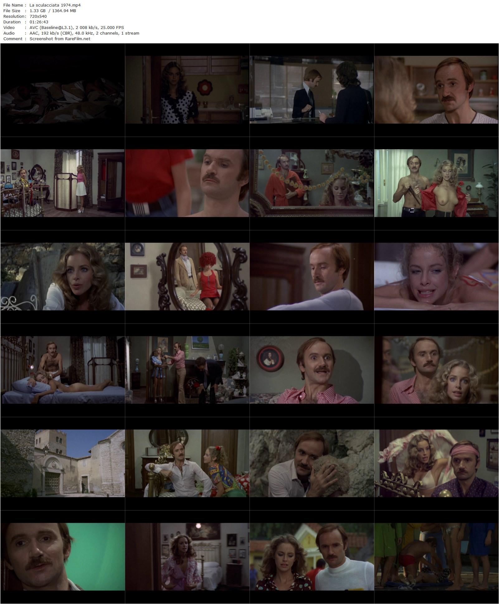 The Gamecock / La sculacciata (1974) Pasquale Festa Campanile, Sydne Rome, Antonio Salines, Gino Pernice-poster