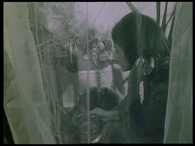 Jean-Louis Jorge - Les Serpents de la Lune des Pirates AKA Serpents of the Pirate's Moon (1973)-poster