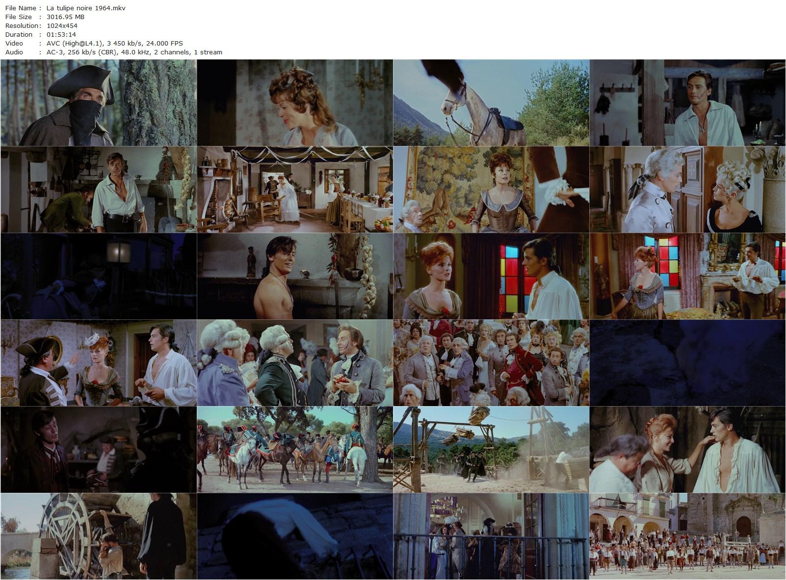 The Black Tulip AKA La tulipe noire (1964) Christian-Jaque, Alain Delon, Virna Lisi, Dawn Addams-poster