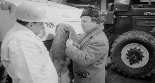 La vie heureuse de Léopold Z (1965)-poster