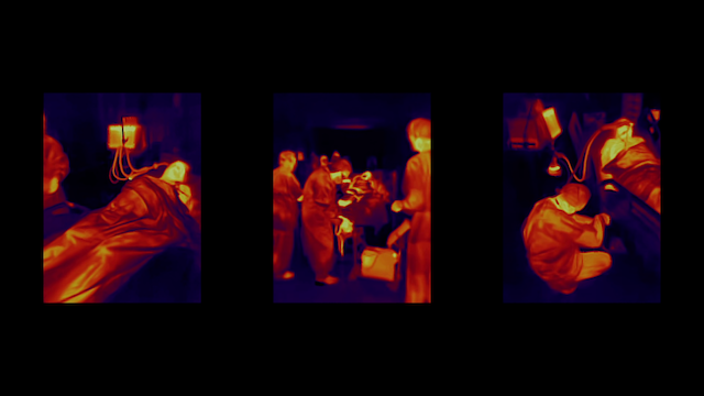 La vie nue (2020)-poster