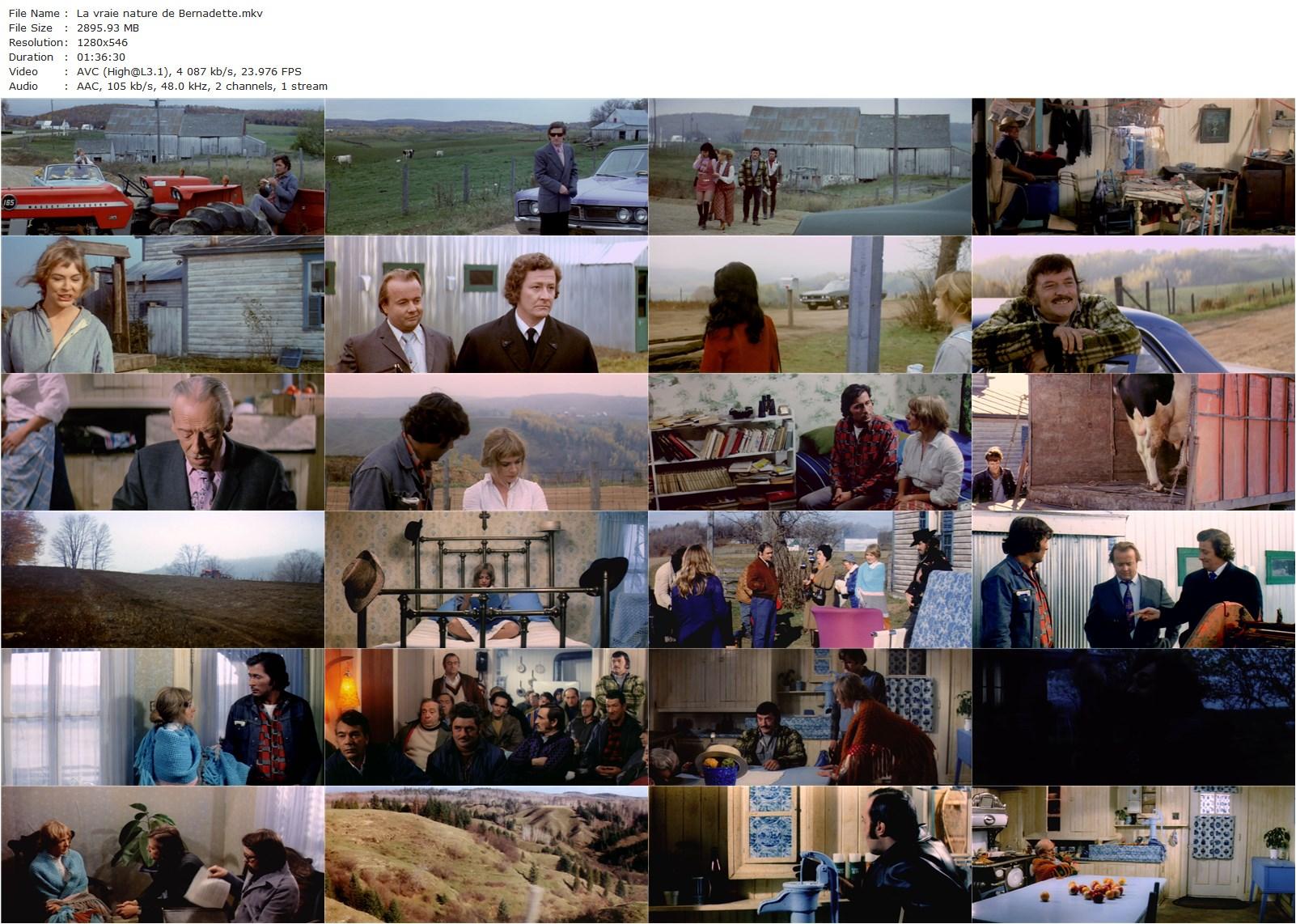 The True Nature of Bernadette AKA La vraie nature de Bernadette (1972) Gilles Carle, Micheline Lanctôt, Donald Pilon, Reynald Bouchard-poster