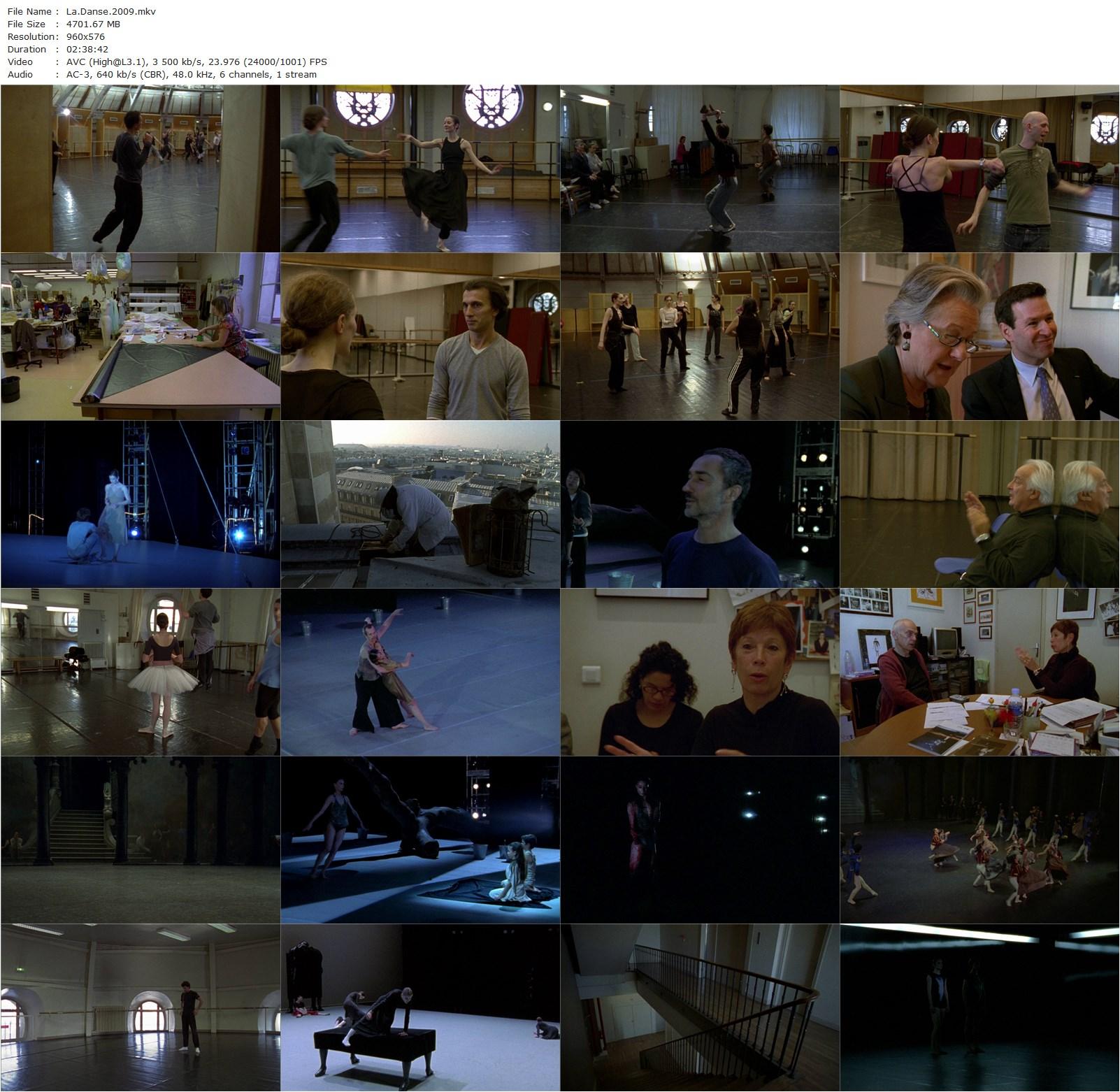 La Danse: The Paris Opera Ballet AKA La danse (2009) Frederick Wiseman-poster