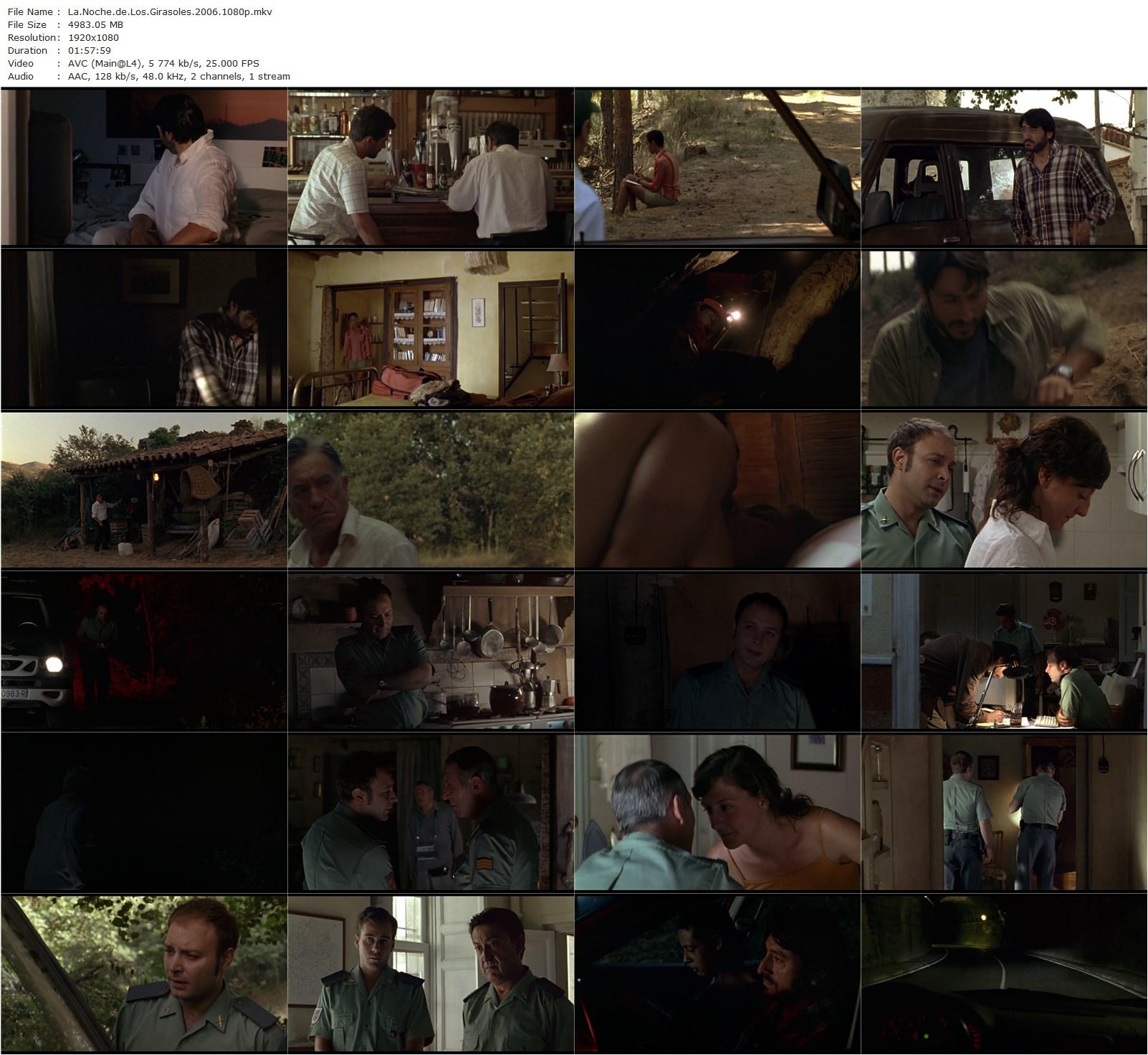 The Night of the Sunflowers AKA La noche de los girasoles (2006) Jorge Sánchez-Cabezudo, Carmelo Gómez, Judith Diakhate, Celso Bugallo-poster