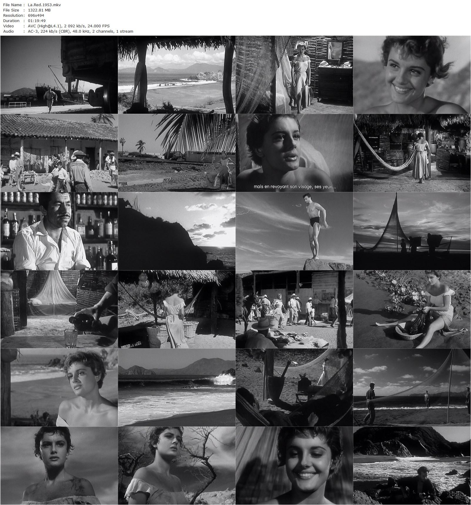 Rossana AKA La red (1953) Emilio Fernández, Rossana Podestà, Crox Alvarado, Armando Silvestre-poster