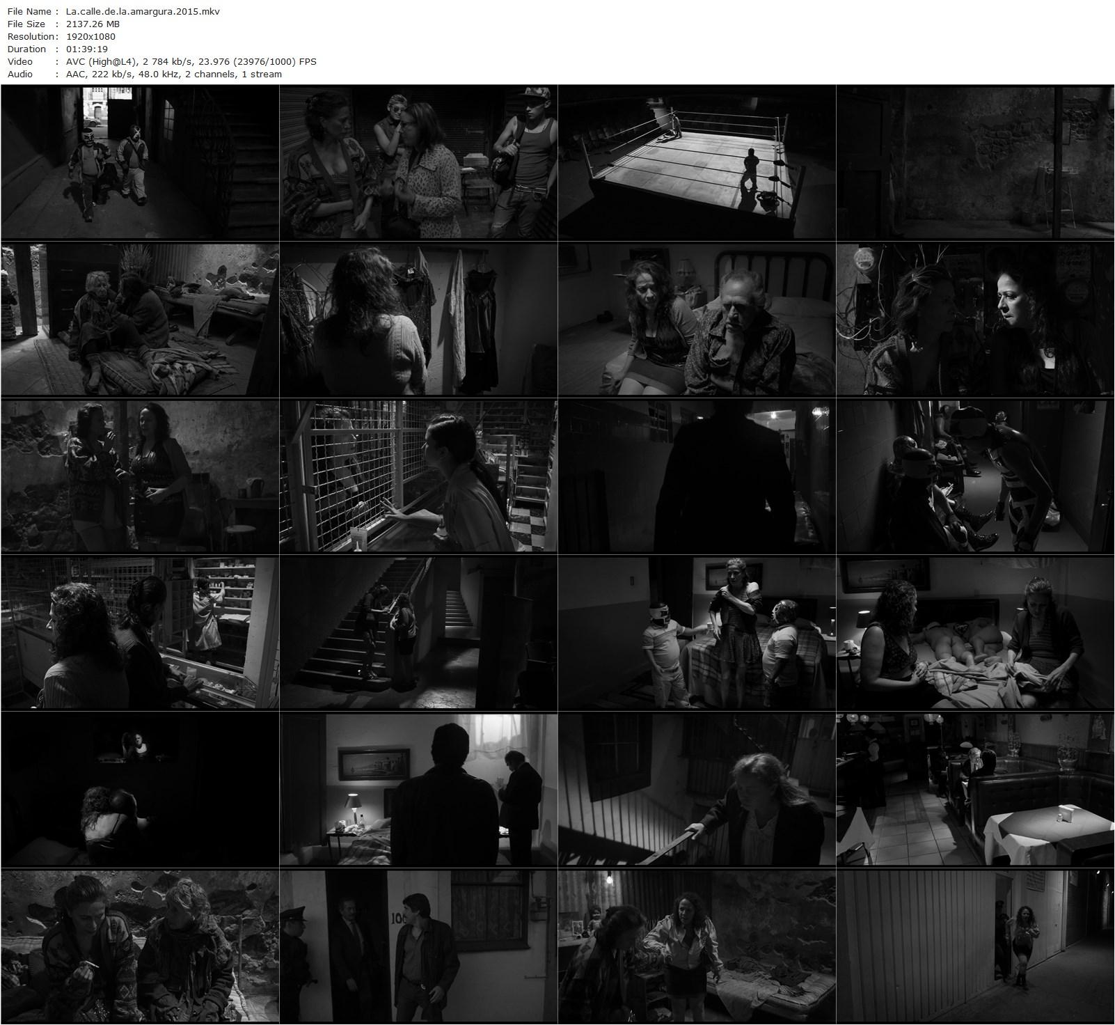 La calle de la amargura / Bleak Street (2015) Arturo Ripstein, Patricia Reyes Spíndola, Nora Velázquez, Silvia Pasquel-poster