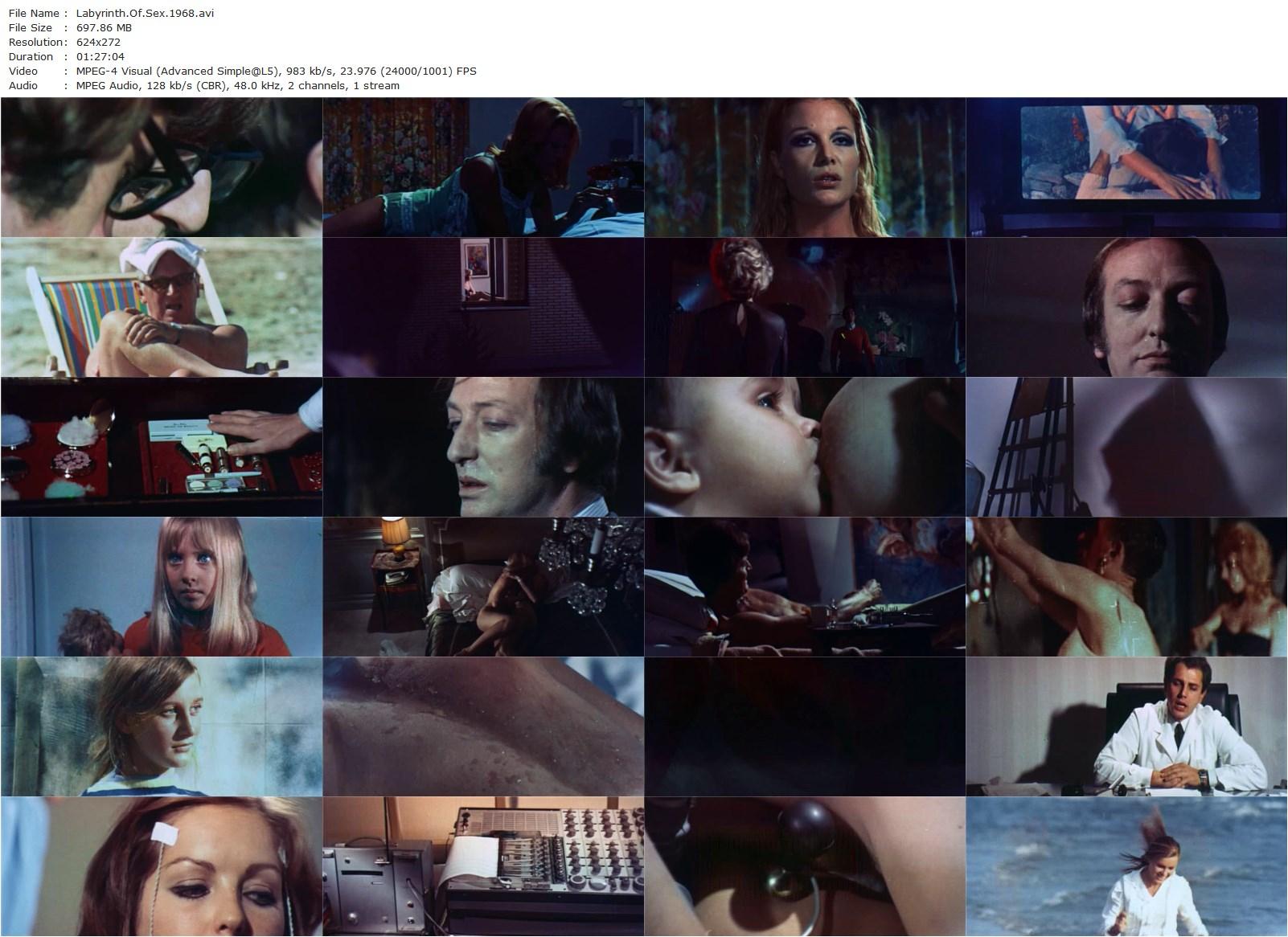 The Labyrinth of Sex AKA Nel labirinto del sesso (1969) Alfonso Brescia, Orchidea De Santis, Franco Ressel, Susy Andersen-poster