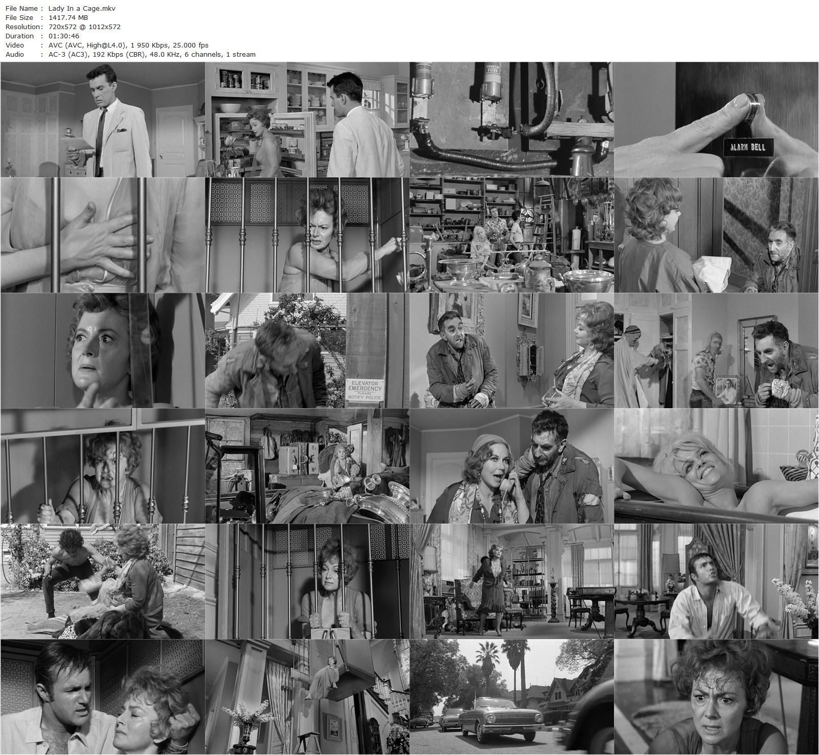 Lady in a Cage (1964) Walter Grauman, Olivia de Havilland, James Caan, Jennifer Billingsley-poster