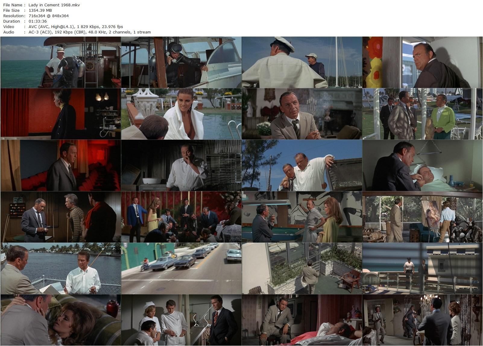 Lady in Cement (1968) Gordon Douglas, Frank Sinatra, Raquel Welch, Richard Conte-poster