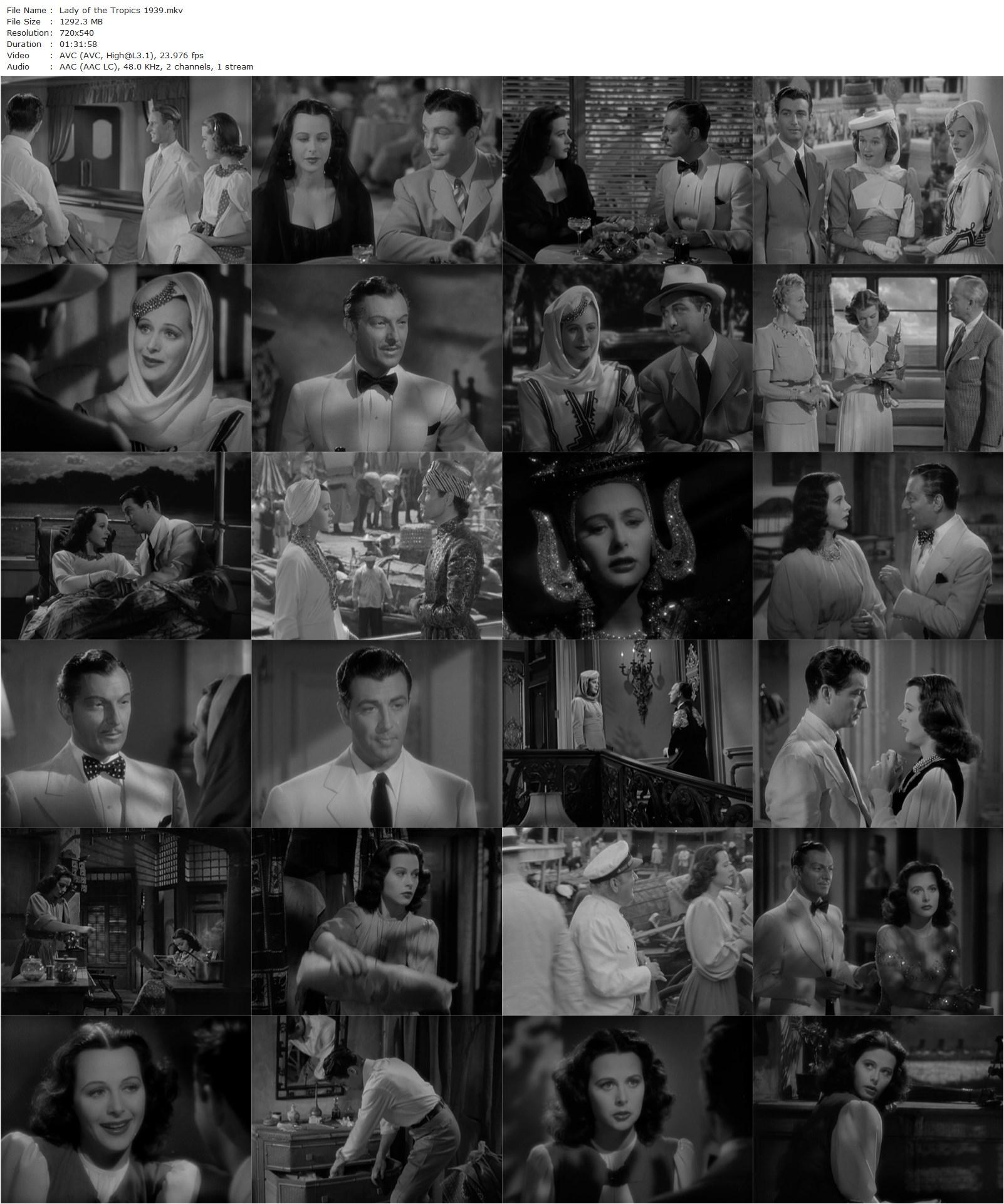 Lady of the Tropics (1939) Jack Conway, Leslie Fenton, Robert Taylor, Hedy Lamarr, Joseph Schildkraut-poster