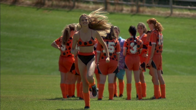 Sidney J. Furie - Ladybugs (1992)-poster