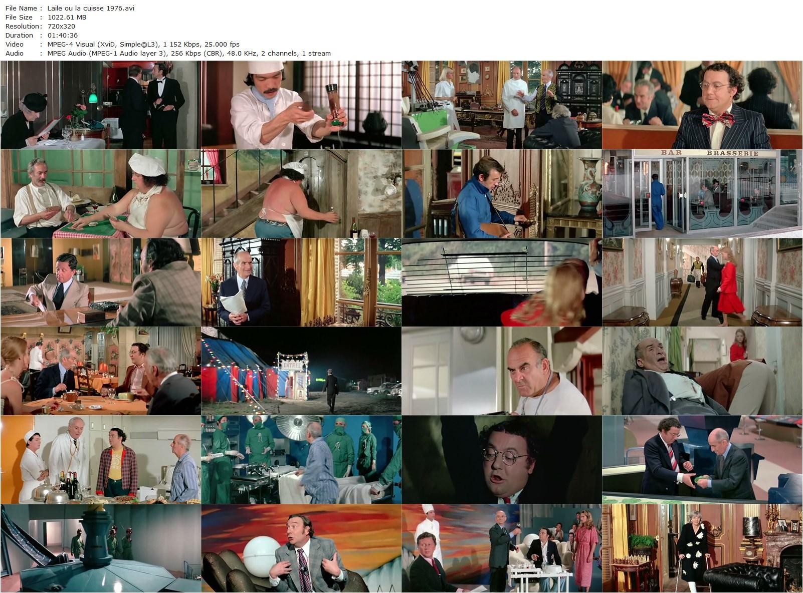 The Wing and the Thigh (1976) Claude Zidi, Louis de Funès, Coluche, Ann Zacharias-poster