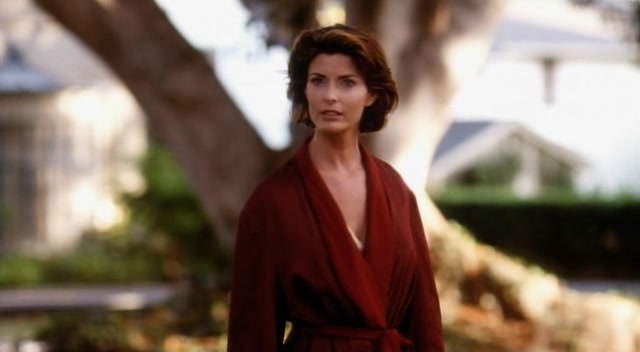 Lake Consequence (1993) Rafael Eisenman, Billy Zane, Joan Severance, Hollie L. Hummel, Drama, Romance-poster