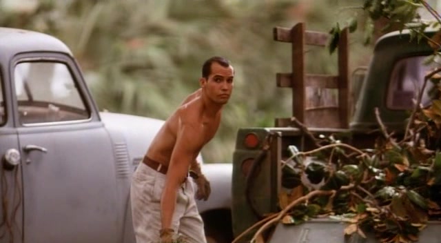 Lake Consequence (1993) Rafael Eisenman, Billy Zane, Joan Severance, Hollie L. Hummel, Drama, Romance-poster