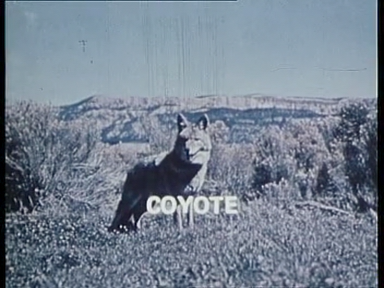 Land Art (1969) by Gerry Schum-poster