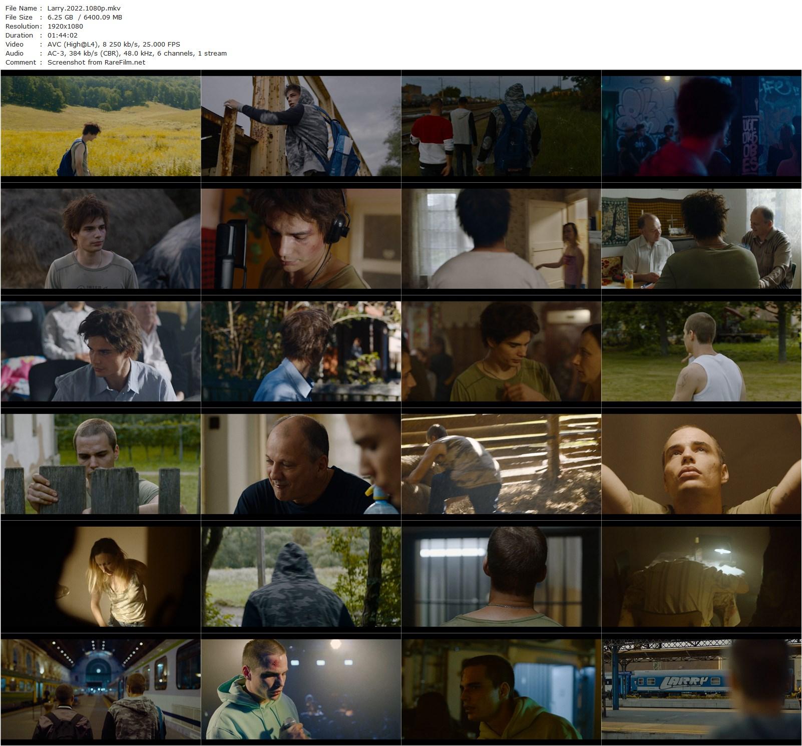 Larry (2022) Szilárd Bernáth, Benett Vilmányi, Szabolcs Thuróczy, Anna Szandtner-poster