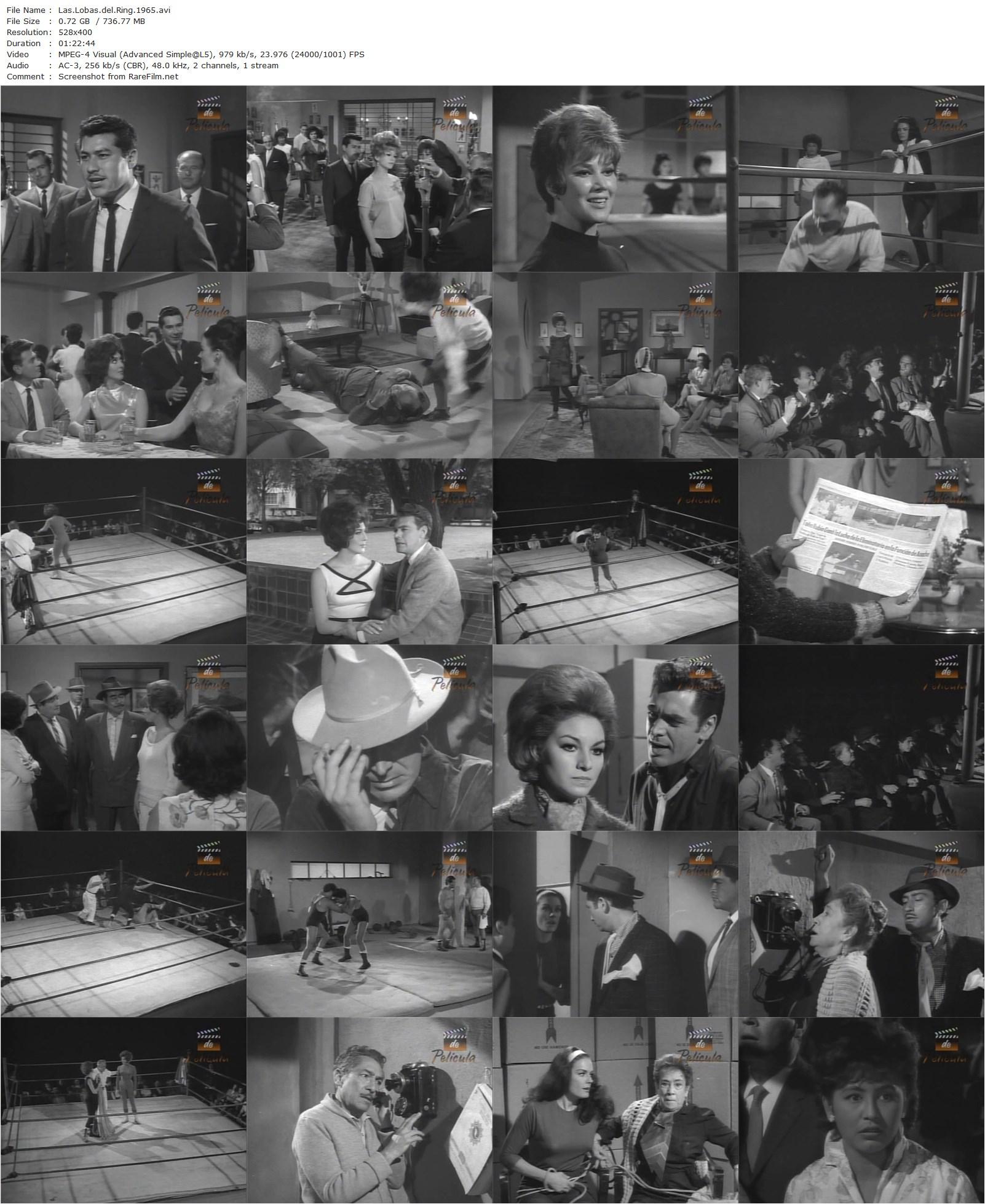 She-Wolves of the Ring / Las lobas del ring (1965) René Cardona, Lorena Velázquez, Elizabeth Campbell, María Eugenia San Martín-poster