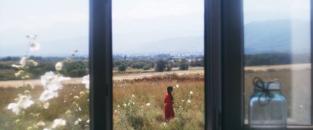 Laskovoe bezrazlichie mira (2018)-poster