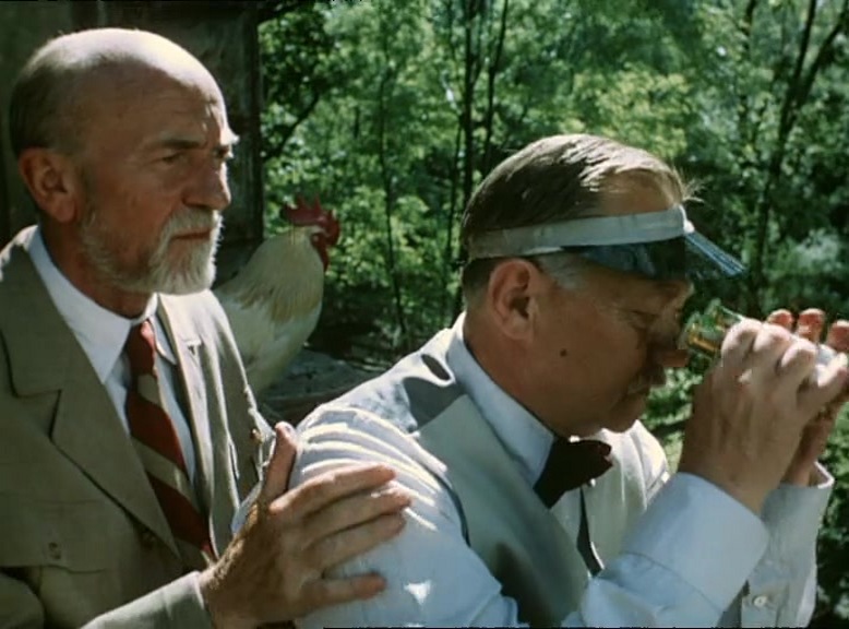 Lásky mezi kapkami deste / Love Between the Raindrops (1980) Karel Kachyna, Eduard Cupák, Vladimír Mensík, Lukás Vaculík, Comedy, Drama, Romance-poster