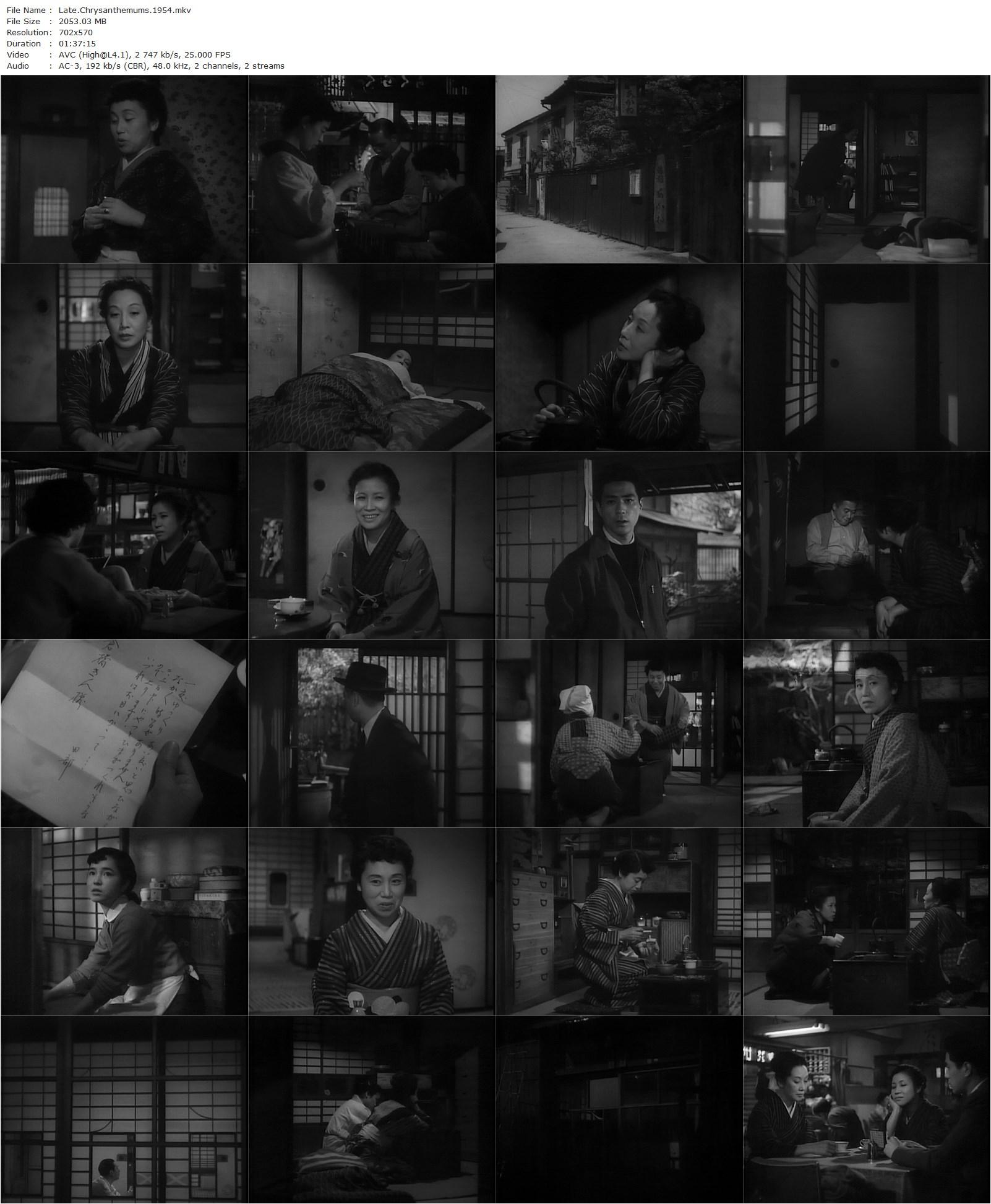 Late Chrysanthemums AKA Bangiku (1954) Mikio Naruse, Haruko Sugimura, Ken Uehara, Sadako Sawamura-poster