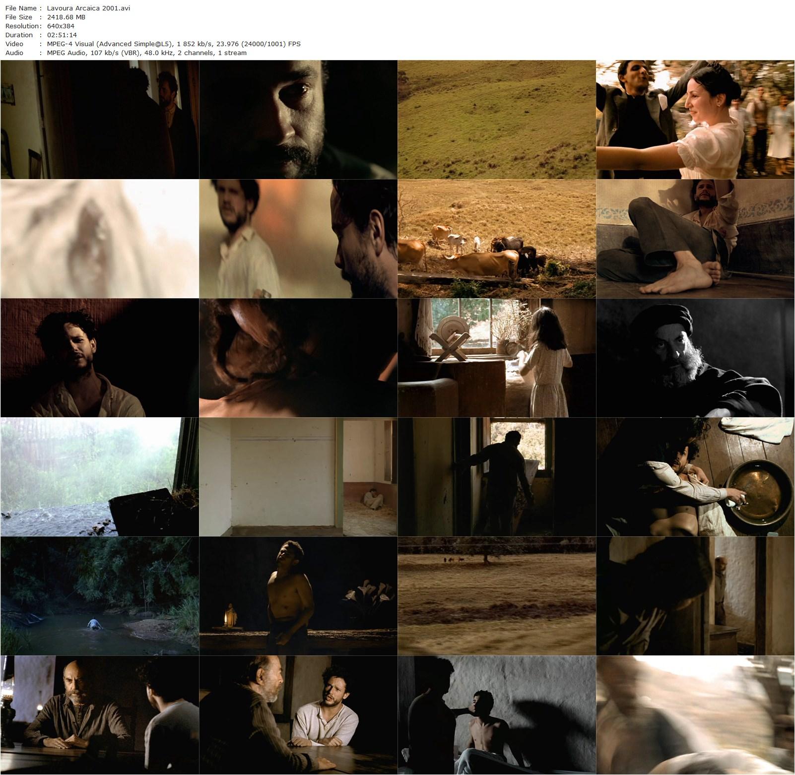 To the Left of the Father AKA Lavoura Arcaica (2001) Luiz Fernando Carvalho, Selton Mello, Simone Spoladore, Raul Cortez-poster