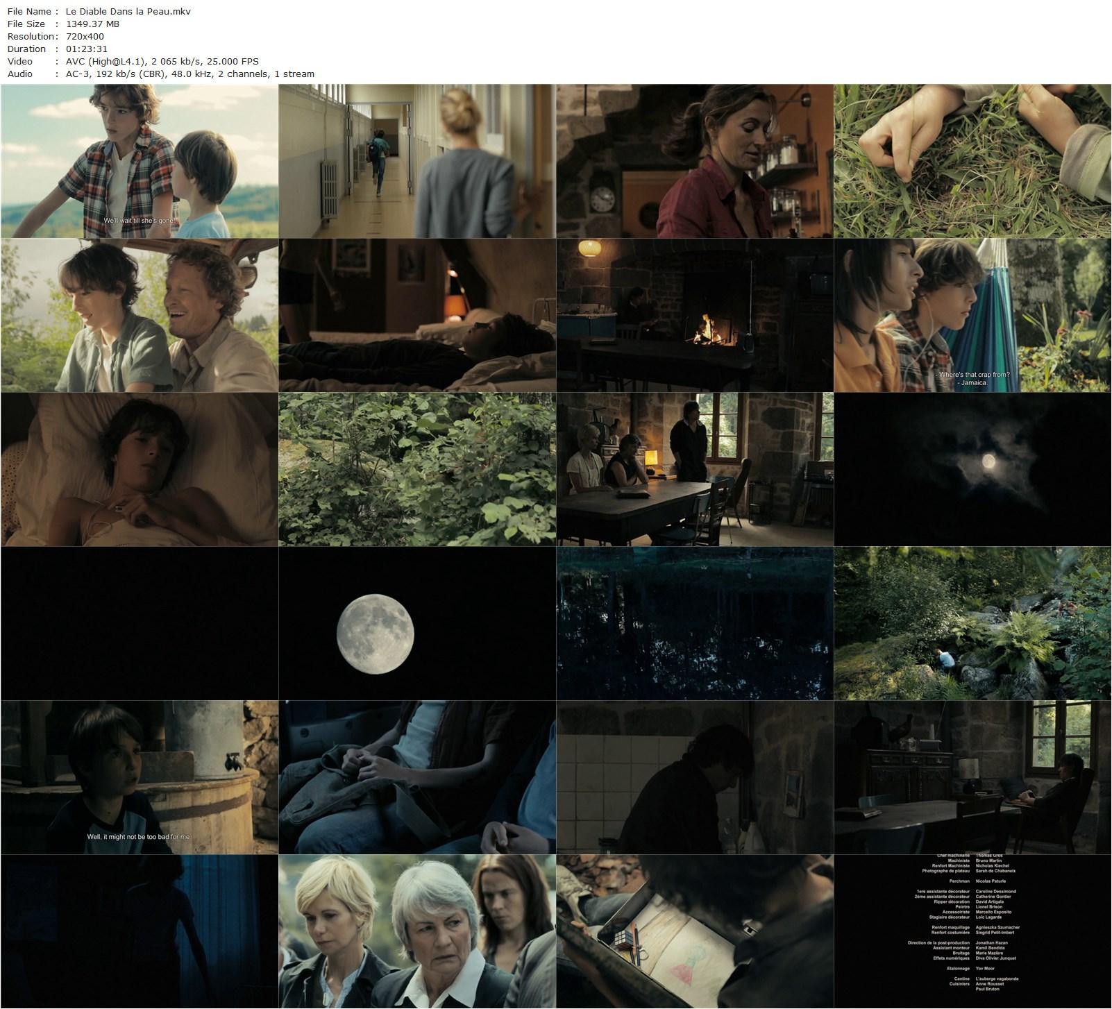 The Devil in the Skin AKA Le diable dans la peau (2011) Gilles Martinerie, Quentin Grosset, Paul François, Francis Renaud-poster