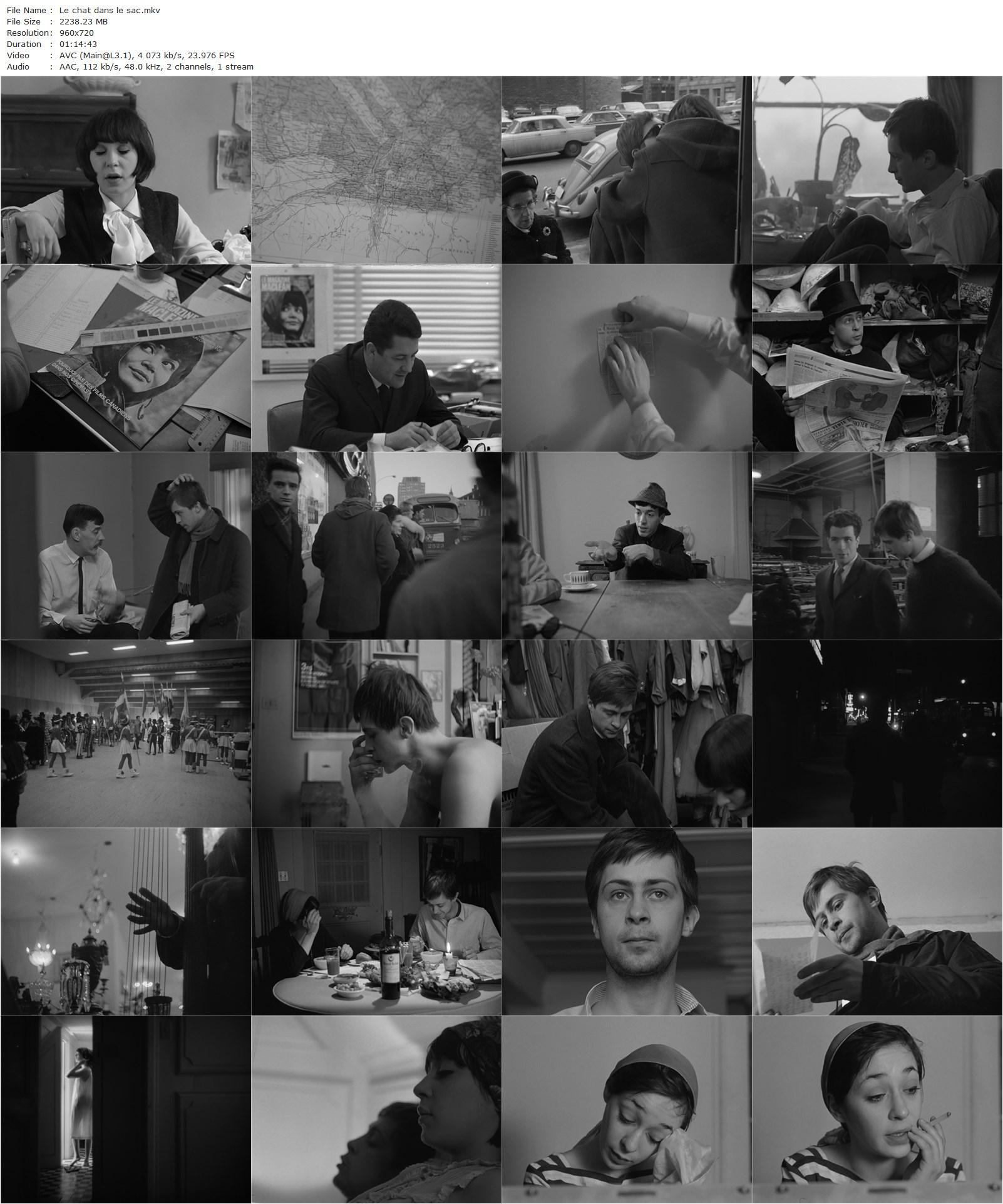 The Cat in the Bag AKA Le chat dans le sac (1964) Gilles Groulx, Barbara Ulrich, Claude Godbout, Manon Blain-poster