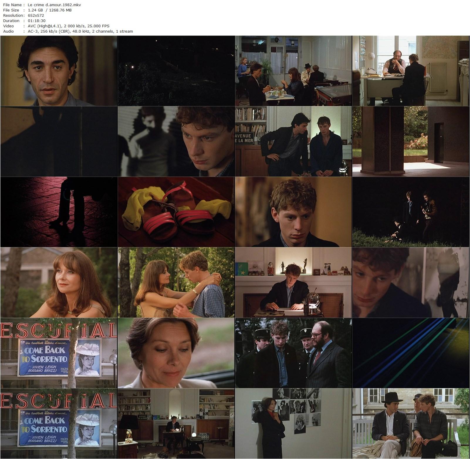 Love Crime AKA Le crime d’amour (1982) Guy Gilles, Macha Méril, Richard Berry, Jacques Penot-poster