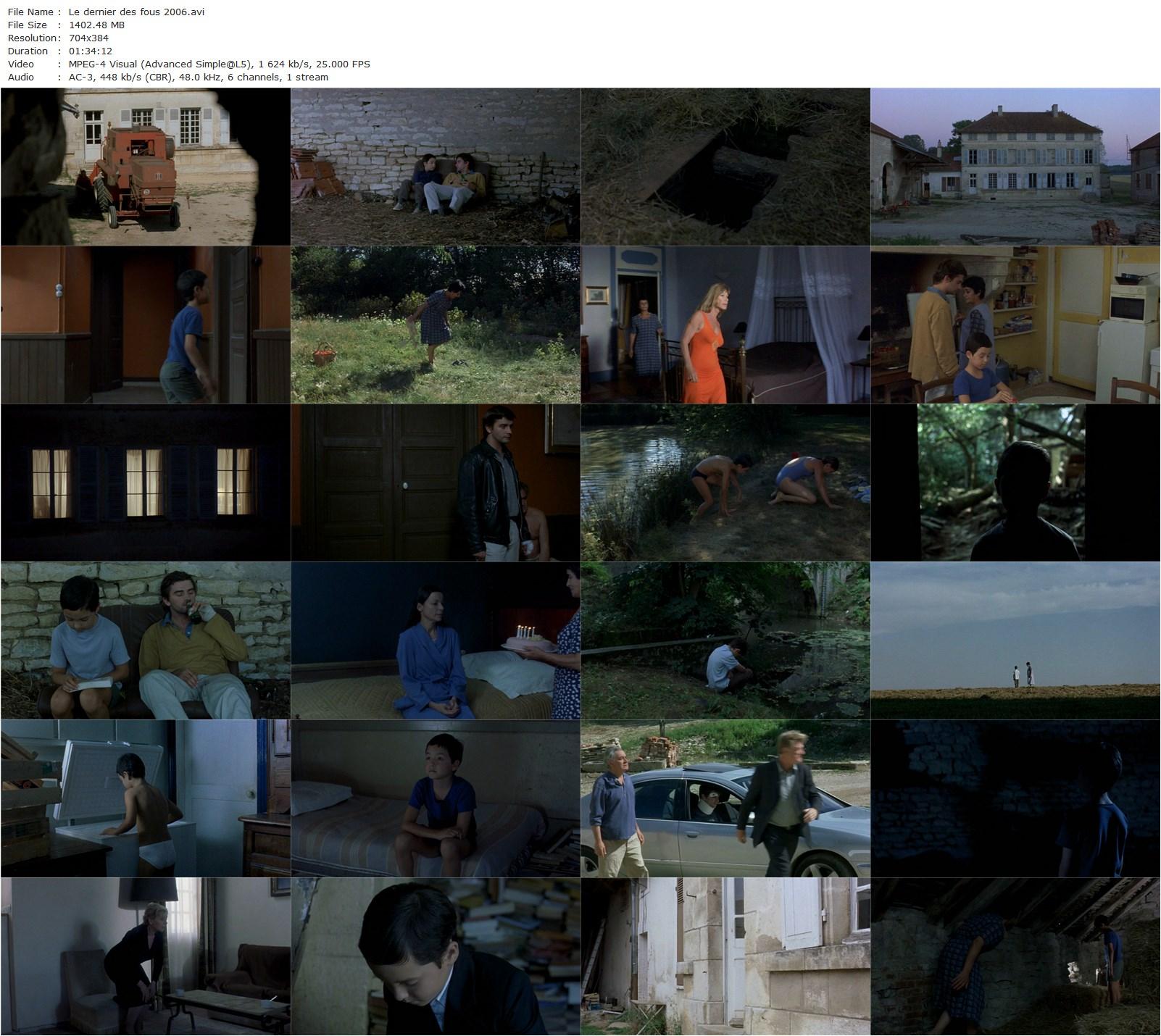 Demented / Le dernier des fous (2006) Laurent Achard, Julien Cochelin, Annie Cordy, Pascal Cervo-poster