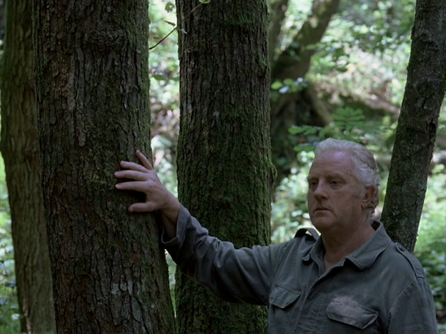 Le genou d'Artémide (2008)-poster