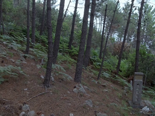 Le genou d'Artémide (2008)-poster