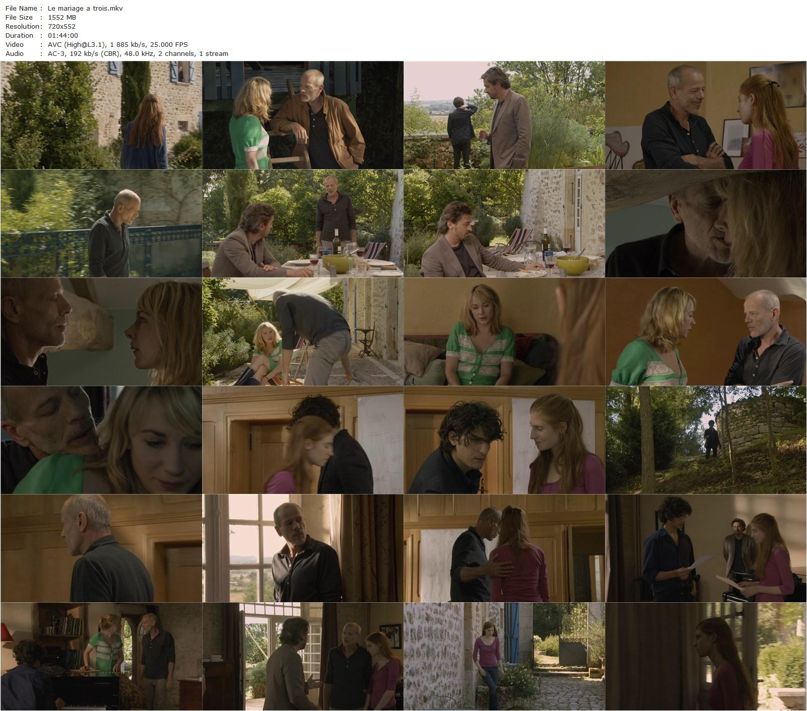 The Three-Way Wedding AKA Le mariage à trois (2010) Jacques Doillon, Pascal Greggory, Julie Depardieu, Louis Garrel-poster