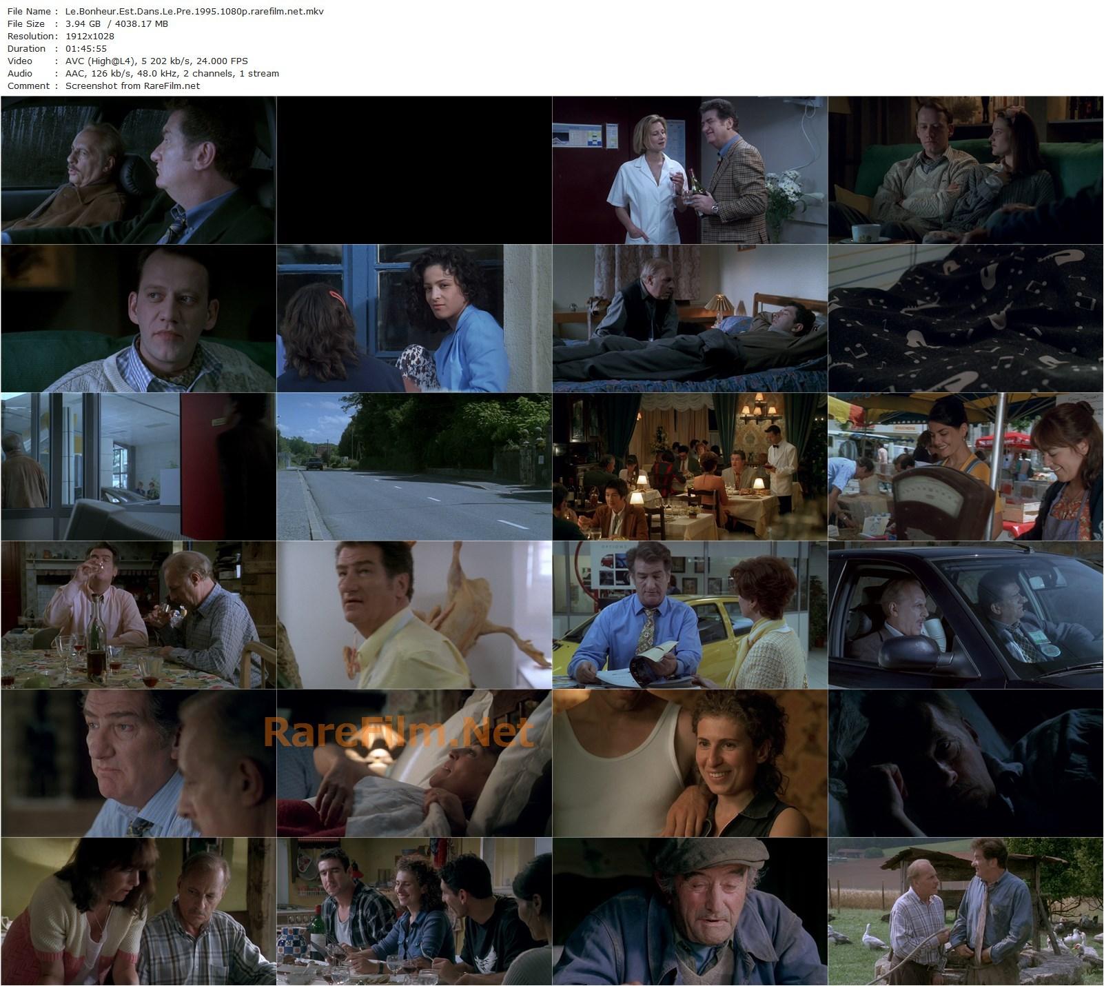 Happiness Is in the Field / Le bonheur est dans le pré (1995) Étienne Chatiliez, Michel Serrault, Eddy Mitchell, Sabine Azéma-poster