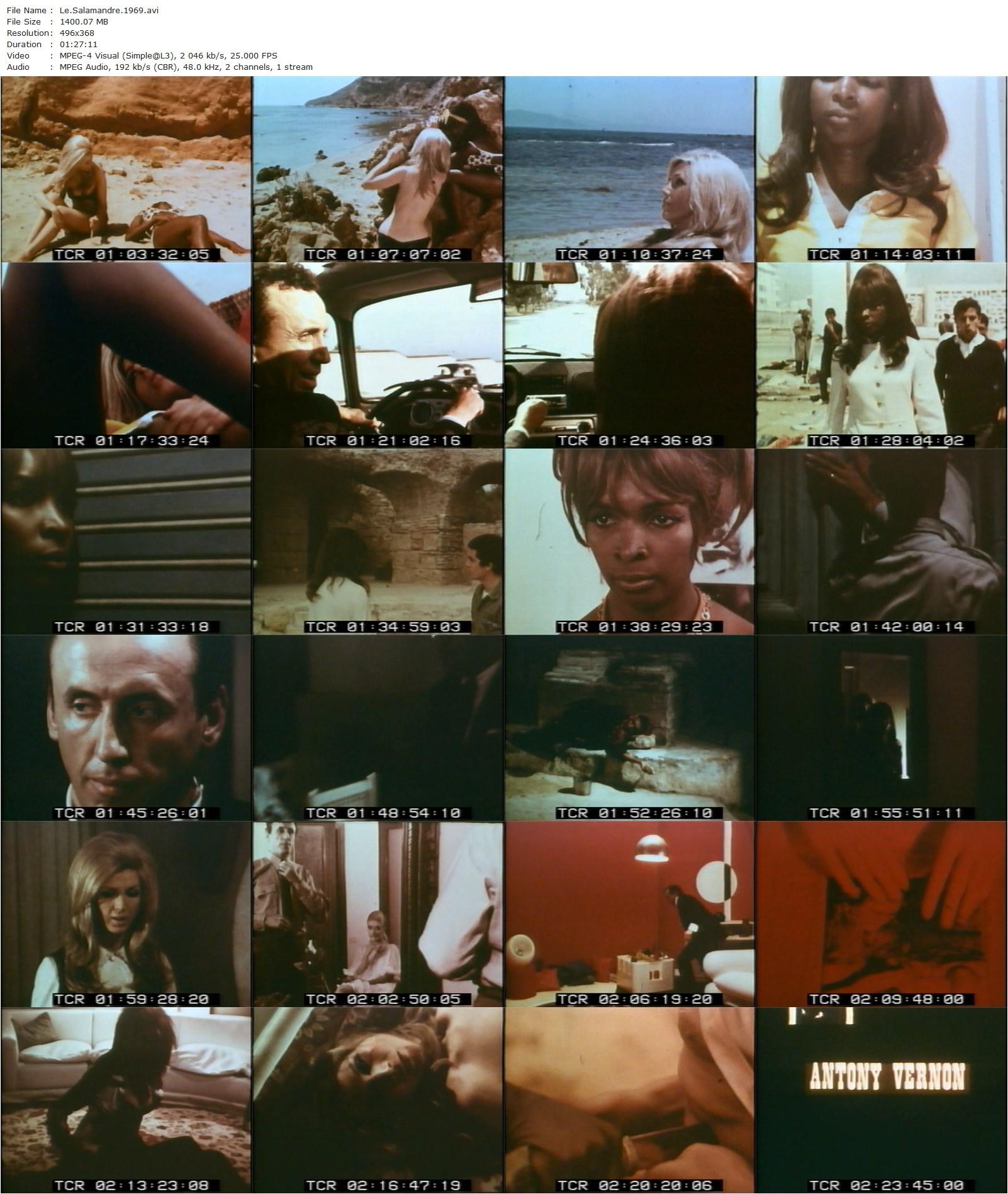 Le salamandre (1969) Alberto Cavallone, Erna Schurer, Beryl Cunningham, Antonio Casale-poster