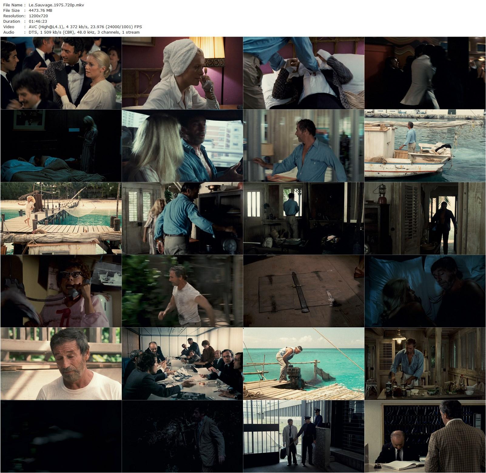 Lovers Like Us AKA Le sauvage (1975) Jean-Paul Rappeneau, Yves Montand, Catherine Deneuve, Luigi Vannucchi-poster