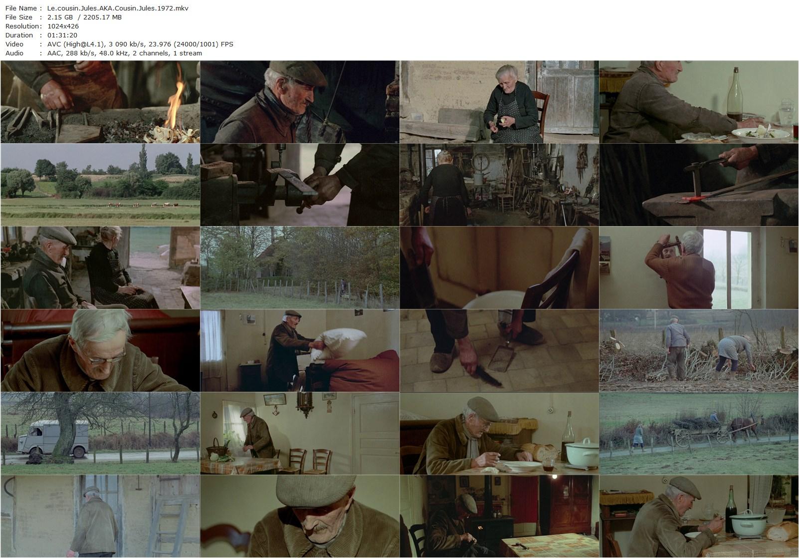 Cousin Jules AKA Le cousin Jules (1972) Dominique Benicheti, Jules Guiteaux, Félicie Guiteaux, Claude Chaudat-poster