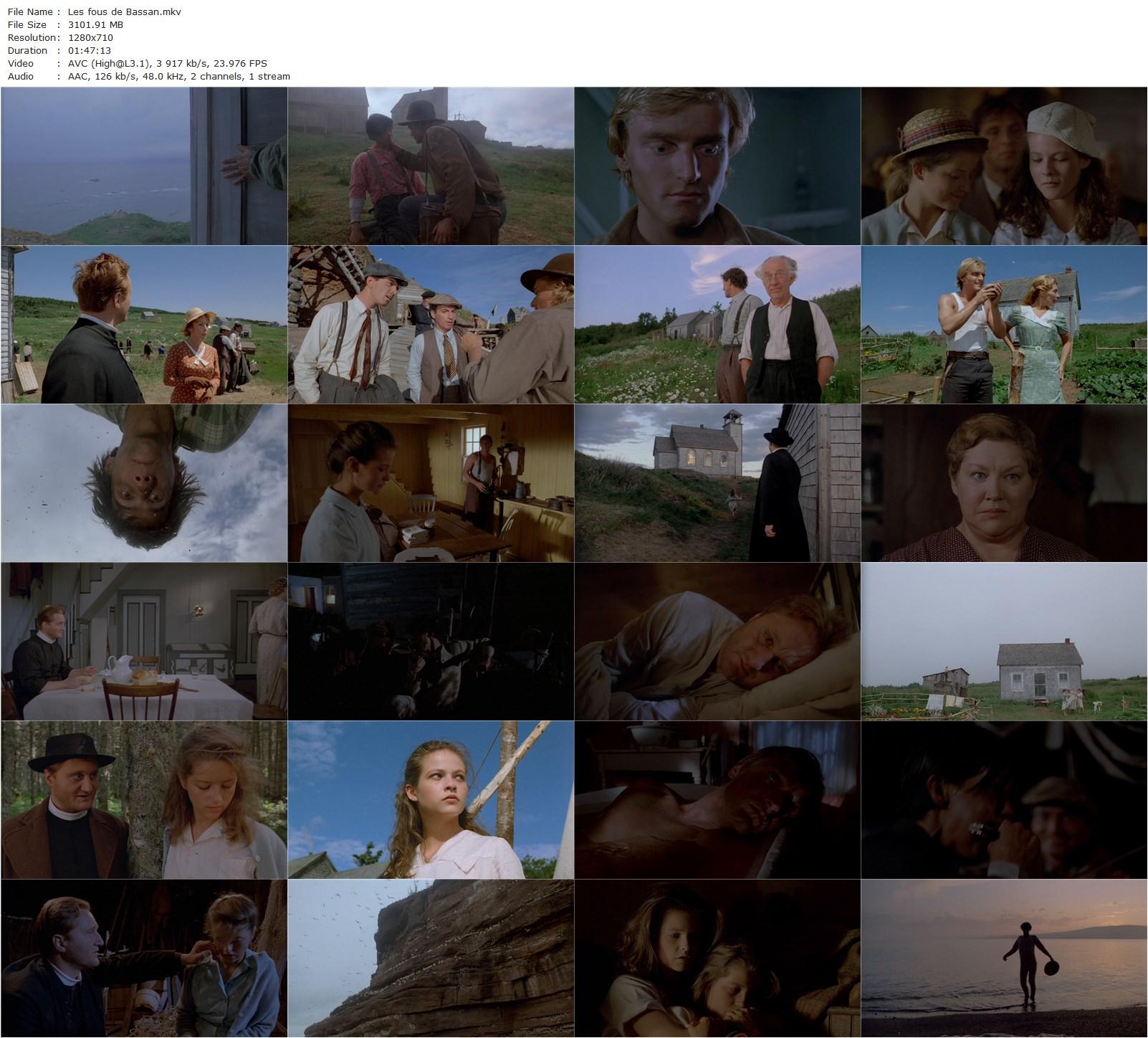 In the Shadow of the Wind AKA Les fous de Bassan (1987) Yves Simoneau, Steve Banner, Charlotte Valandrey, Laure Marsac-poster