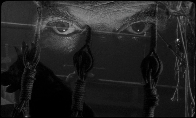 Les garçons sauvages (2017) | Worldscinema | Download Free-poster