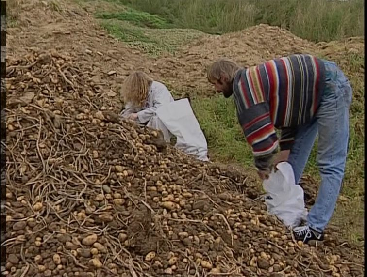 Les glaneurs et la glaneuse / The Gleaners and I (2000) François Wertheimer, Agnès Varda, Bodan Litnanski, Documentary-poster